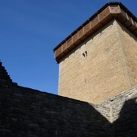 Hotel Casa Fumanal Huesca Dış mekan fotoğraf