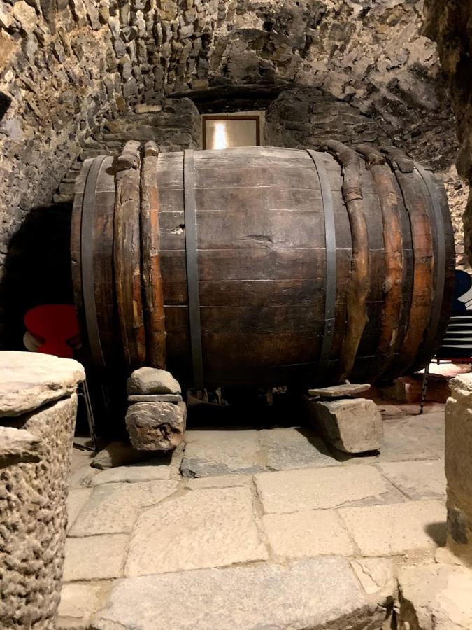 Hotel Casa Fumanal Huesca Dış mekan fotoğraf