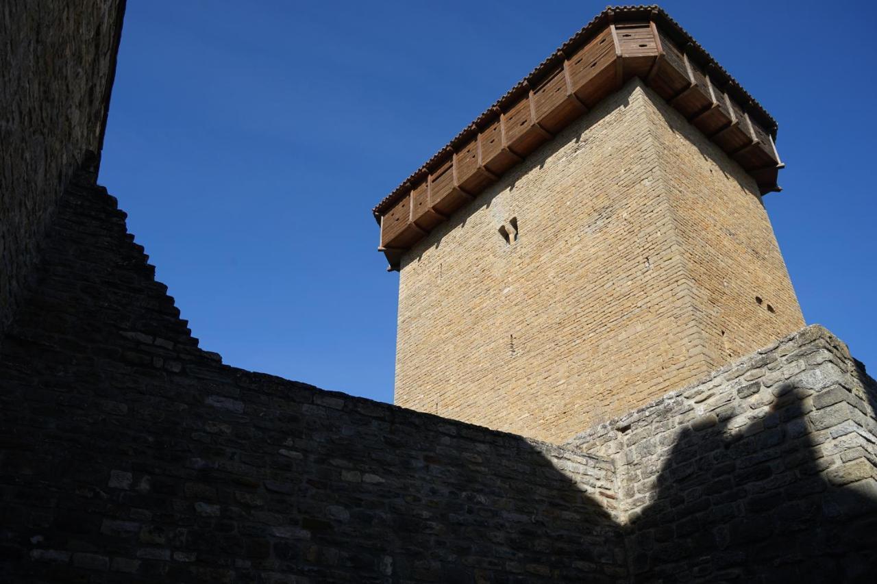 Hotel Casa Fumanal Huesca Dış mekan fotoğraf